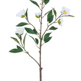 De Kunstbloem Camellia 80 cm wit heeft een enkele tak met meerdere groene bladeren en meerdere bloeiende witte bloemen tegen een effen witte achtergrond.