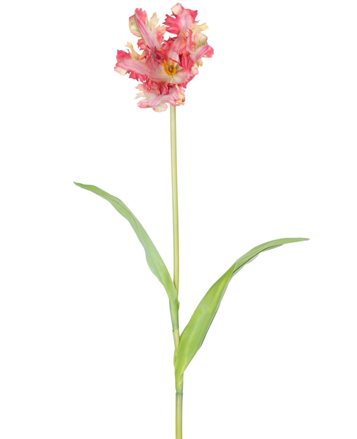 Een Kunstbloem Franse Parkiet Tulp 76 cm in rood/geel met ruches op de bloemblaadjes, een lange groene steel en twee langwerpige groene bladeren, tegen een witte achtergrond.
