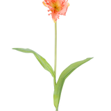 Een enkele Kunstbloem Franse Parkiet Tulp 76 cm koraal met ruches van roze en gele bloemblaadjes en twee lange groene bladeren op een lange steel, tegen een effen witte achtergrond.