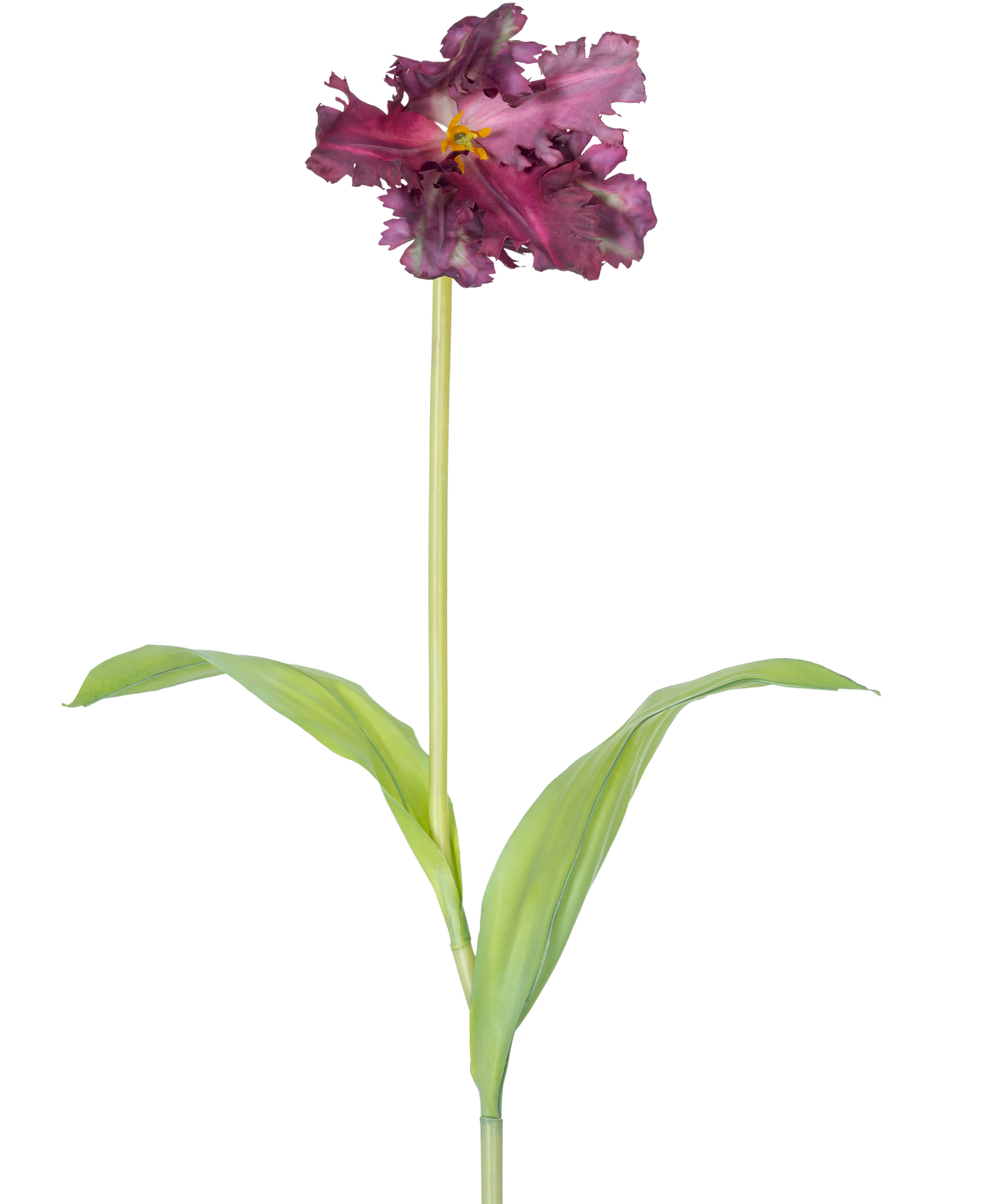 De Kunstbloem Franse Parkiet Tulp 76 cm paars is een enkele kunstmatige paarse tulp met ruches in de bloemblaadjes en twee langwerpige groene bladeren op een lange steel, tegen een effen witte achtergrond.