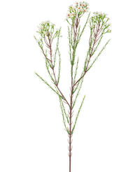 Branche artificielle Waxflower 78 cm crème