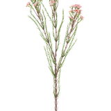 De Kunsttak Waxflower 78 cm roze heeft een enkele steel met dunne groene blaadjes en verschillende trosjes kleine, lichtroze bloemen aan de bovenkant, tegen een witte achtergrond.