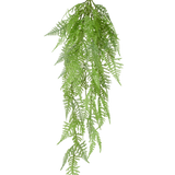 De Kunst Hangplant Aspergevaren 84 cm heeft delicate, vederachtige groene bladeren en gedetailleerde patronen, die sierlijk naar beneden hangen tegen een effen witte achtergrond.