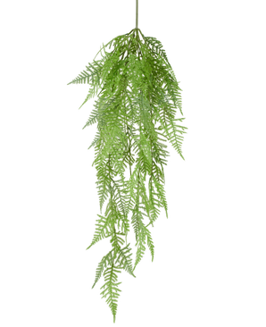 De Kunst Hangplant Aspergevaren 84 cm heeft delicate, vederachtige groene bladeren en gedetailleerde patronen, die sierlijk naar beneden hangen tegen een effen witte achtergrond.