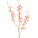 Drie lange groene stelen van de Kunstbloem Cymbidium 95 cm perzik, met trossen delicate perzikkleurige orchideebloemen en kleine gele knoppen, tegen een effen witte achtergrond.