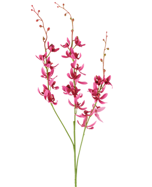 Drie stelen van de Kunstbloem Cymbidium van 95 cm in bordeauxrood, met levendige bloemen en kleine knopjes, afgebeeld tegen een witte achtergrond.