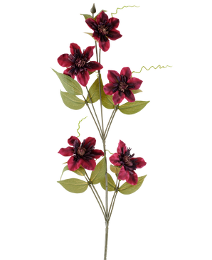 Een enkele kunstbloem Clematis 78 cm bordeaux, een kunststengel, bestaat uit vijf dieprode bordeauxkleurige bloemen met donkere hartjes, omringd door groene bladeren en gekrulde ranken, tegen een effen witte achtergrond.