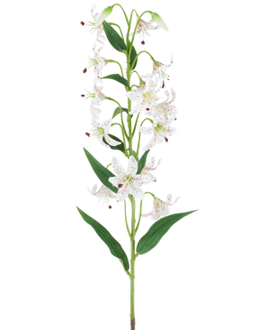 Een lange groene steel met verschillende crèmekleurige en bruine kunstlelies, elk met langgerekte groene bladeren, gepresenteerd tegen een witte achtergrond — Kunstbloem Lelie 82 cm crème/bruin.
