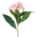 Een kunstbloem Plumeria van 75 cm, roze/crème, met één steel, grote groene bladeren en een tros lichtroze plumeria-bloemen aan de top, afgebeeld tegen een witte achtergrond.