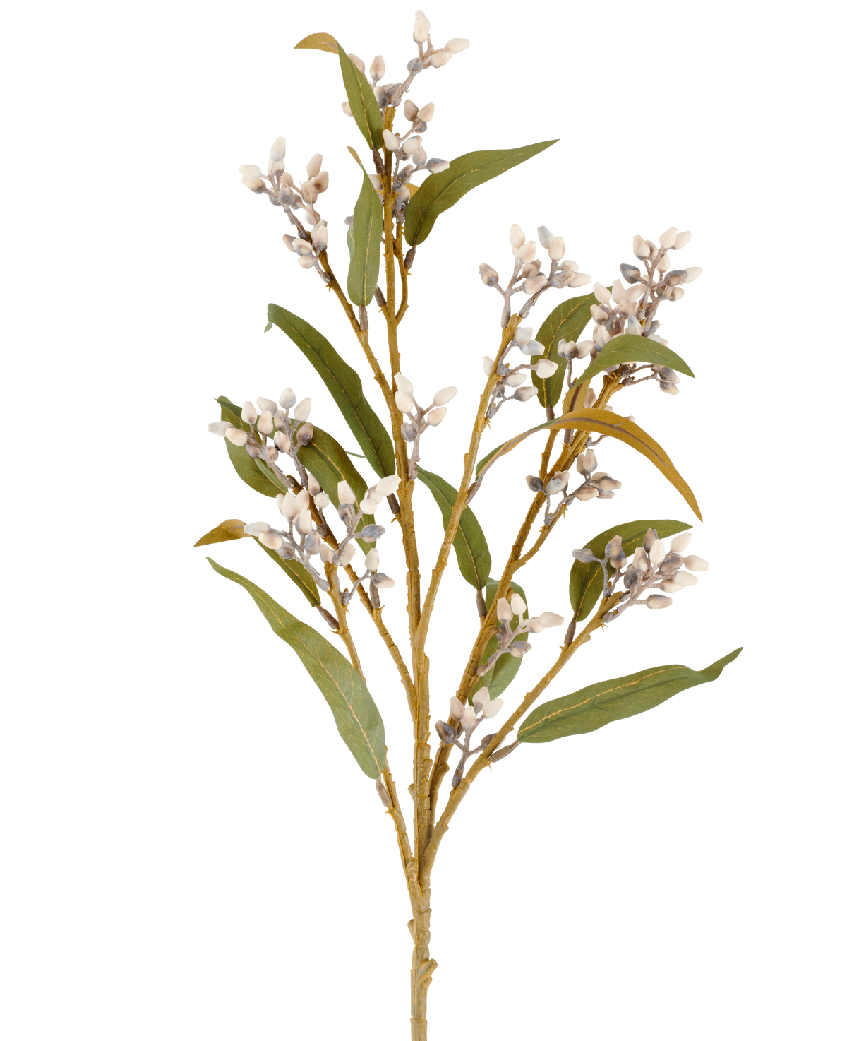 Een enkele Kunstbloem-eucalyptusstengel van 78 cm in crème/bruin, met verschillende takken met groene bladeren en trossen kleine, ronde bloemen, afgebeeld tegen een effen witte achtergrond.