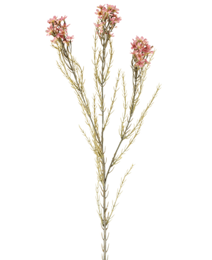 Een enkele Kunstbloem Wax van 78 cm in oudroze heeft een groene stengel met drie takken, die elk zijn voorzien van kleine, delicate oudroze bloemen en dunne, naaldachtige blaadjes, weergegeven tegen een effen witte achtergrond.