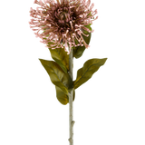 De Kunstbloem Protea 65 cm mauve is een enkele kunstbloem in de vorm van een protea, met een ronde tros mauve, puntige bloemblaadjes, groene bladeren en een lange steel, afgebeeld tegen een effen witte achtergrond.