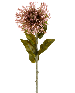De Kunstbloem Protea 65 cm mauve is een enkele kunstbloem in de vorm van een protea, met een ronde tros mauve, puntige bloemblaadjes, groene bladeren en een lange steel, afgebeeld tegen een effen witte achtergrond.