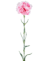 Kunstbloem: anjer van 68 cm, roze, met gegolfde roze bloemblaadjes aan een lange groene steel, geïsoleerd tegen een witte achtergrond.