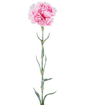 Kunstbloem: anjer van 68 cm, roze, met gegolfde roze bloemblaadjes aan een lange groene steel, geïsoleerd tegen een witte achtergrond.