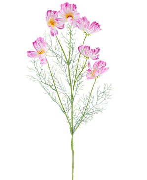 Een Kunstbloem Cosmo van 78 cm in crème/roze, met meerdere lichtroze en witte cosmosbloemen en vederachtige groene blaadjes, afgebeeld tegen een effen witte achtergrond.