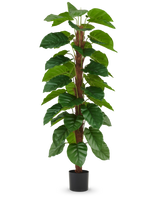 De Kunstplant Epipremnum aureum 180 cm heeft grote, glanzend groene bladeren die langs een centrale bruine stengel zijn gerangschikt en wordt geleverd in een kleine zwarte pot, afgebeeld tegen een effen witte achtergrond.
