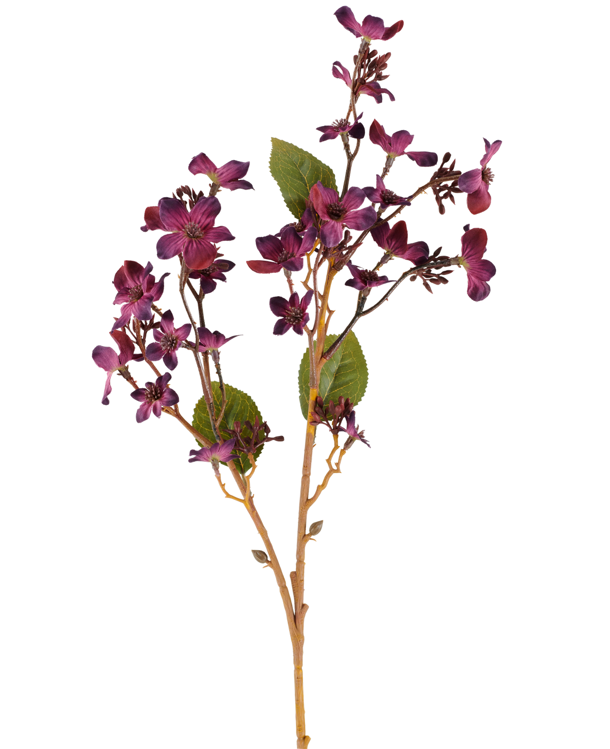 Een Kunstbloem Vernicia Fordii van 63 cm in bordeauxrood, met trossen kleine, donkerpaarse bloemen en groene bladeren aan slanke, lichtbruine stelen, afgebeeld tegen een witte achtergrond.
