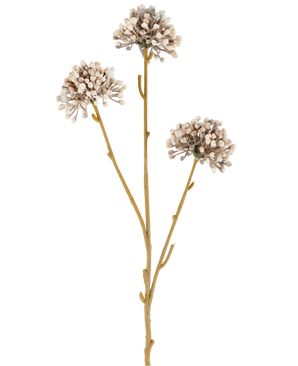 Drie bruine stelen van de Kunstbloem Mini Allium 60 cm crème/bruin strekken zich naar boven uit, elk met aan het uiteinde een rond trosje kleine, subtiele crèmekleurige en bruine knoppen tegen een effen witte achtergrond. Het geheel oogt minimalistisch en natuurlijk.