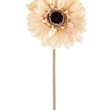 De Kunstbloem Gerbera 53 cm crème/bruin bestaat uit één enkele lichtperzikkleurige kunstgerbera met gelaagde bloemblaadjes en een donkerbruin hart op een lange, slanke steel, afgebeeld tegen een effen witte achtergrond.