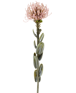 Een enkele stengel van de Kunstbloem Protea 61 cm mauve, met ovale groene bladeren en een ronde, stekelige licht mauve-roze bloem aan de top, afgebeeld tegen een effen witte achtergrond.