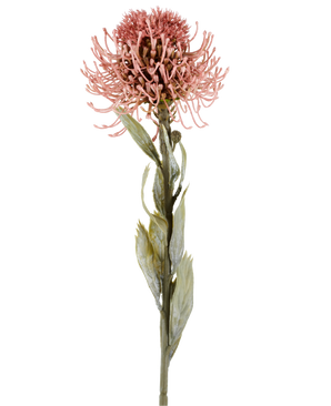 Kunstbloem Protea 60 cm oudroze met puntige roze bloemblaadjes en groene bladeren aan een lange steel, afgebeeld tegen een effen witte achtergrond.