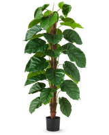 De Kunstplant Epipremnum aureum 150 cm is een hoge kunstplant met grote, glanzend groene bladeren, gepresenteerd in een zwarte pot tegen een effen witte achtergrond.
