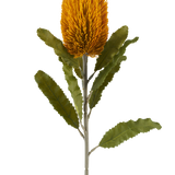 Een enkele kunstbloem van de Banksia in mosterdkleur, 65 cm groot, met een cilindrische vorm en gekartelde groene bladeren aan een lange steel, geïsoleerd tegen een witte achtergrond.