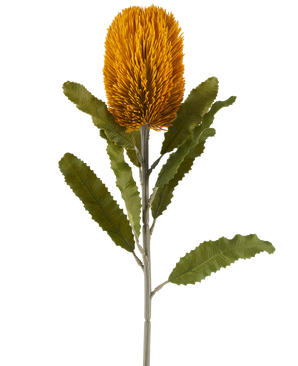 Een enkele kunstbloem van de Banksia in mosterdkleur, 65 cm groot, met een cilindrische vorm en gekartelde groene bladeren aan een lange steel, geïsoleerd tegen een witte achtergrond.