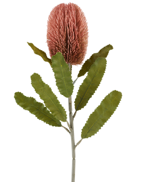 Een enkele stengel van de Kunstbloem Banksia 65 cm oudroze heeft een grote, roze, cilindervormige bloem en lange, gekartelde groene bladeren die afsteken tegen een witte achtergrond.
