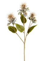 Een enkele stengel van Kunstbloem Saffloer 57 cm crème/bruin, met drie puntige, ronde, lichtbruine bloemen en enkele groene bladeren, afgeschilderd op een witte achtergrond.