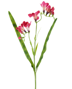 Een kunstbloem: freesia van 56 cm in fuchsia, met levendige fuchsia bloemen en twee lange, slanke groene bladeren, afgebeeld op een witte achtergrond.