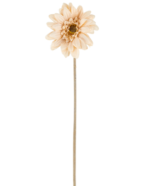 Een enkele Kunstbloem Mini Gerbera in crème/bruin, met gelaagde bloemblaadjes en een lange, dunne steel van 47 cm, gecentreerd tegen een witte achtergrond.