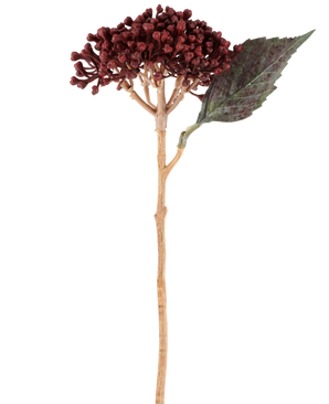 Een enkele Kunstbloem Gedroogde Hortensia in bordeauxrood, met een lengte van 38 cm, met gedroogde roodbruine bloemblaadjes, een trosje kleine knoppen en één groen blad aan een lange, slanke steel, staat afgebeeld tegen een witte achtergrond.
