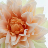 Close-up van de Kunstbloem Dahlia Real Touch champagne, een kunstbloem van 54 cm met perzikkleurige, zachte, gelaagde bloemblaadjes en subtiele lichtgele accenten op de achtergrond.