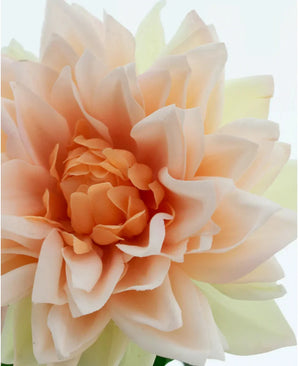 Close-up van de Kunstbloem Dahlia Real Touch champagne, een kunstbloem van 54 cm met perzikkleurige, zachte, gelaagde bloemblaadjes en subtiele lichtgele accenten op de achtergrond.