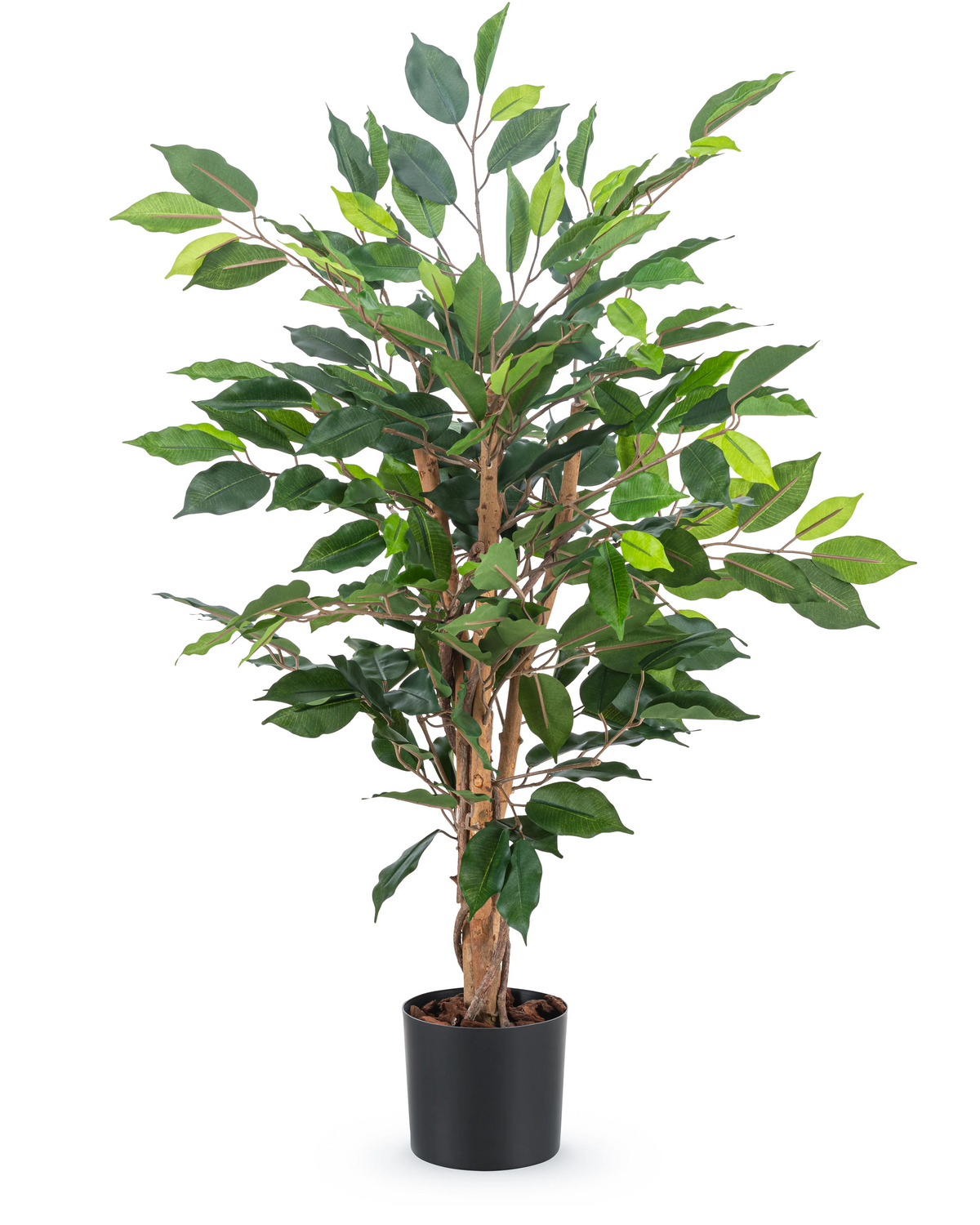 De Kunstplant Ficus Groen 90 cm heeft meerdere bruine stelen en weelderige groene bladeren in een eenvoudige zwarte pot - ideaal als stijlvolle kantoorplant.