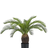 De Kunstplant Baby Cycas Palm 60 cm heeft lange, gebogen groene bladeren en een dikke, bruine stam met textuur, gepresenteerd in een pot tegen een effen witte achtergrond.