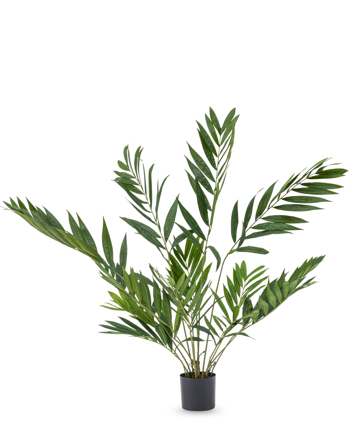 De Kunstpalm Parlour Deluxe 90 cm is een potplant voor binnen met lange, slanke groene bladeren op meerdere stelen, in een eenvoudige zwarte pot tegen een effen witte achtergrond.
