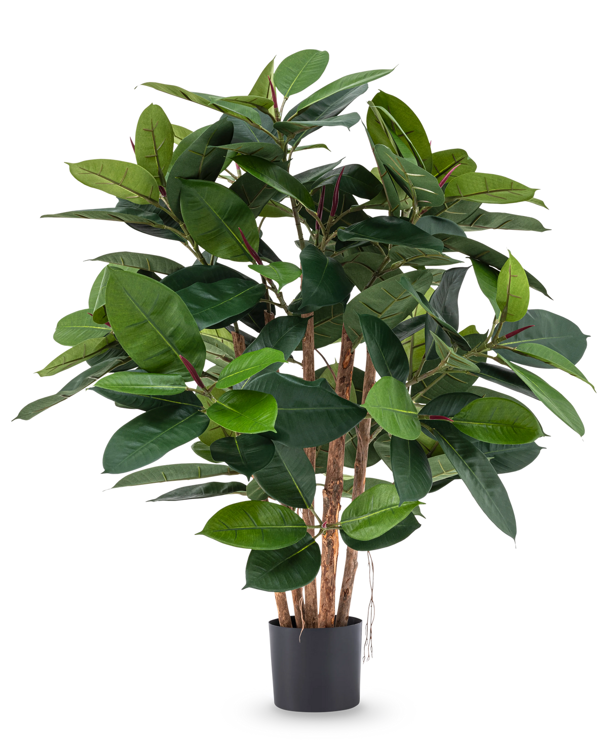 De Kunstplant Rubber deluxe 90 cm heeft meerdere houten stelen en grote, glanzend groene bladeren in een zwarte pot - ideaal om levensechte elegantie toe te voegen aan elke ruimte.