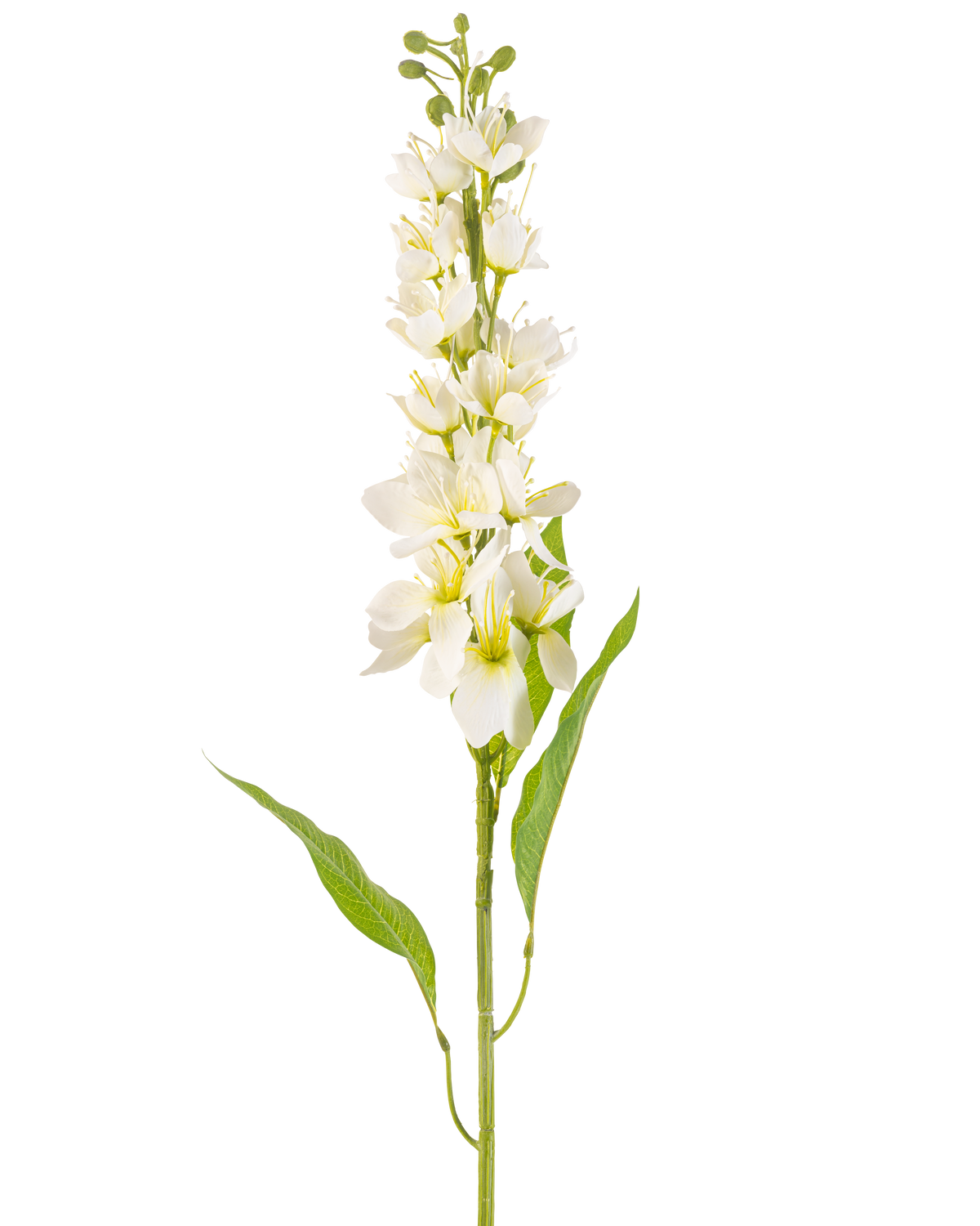 De Kunstbloem Aziatische appel 84 cm crème heeft een lange steel met meerdere delicate crèmekleurige bloemen en lange, smalle groene bladeren tegen een effen witte achtergrond.