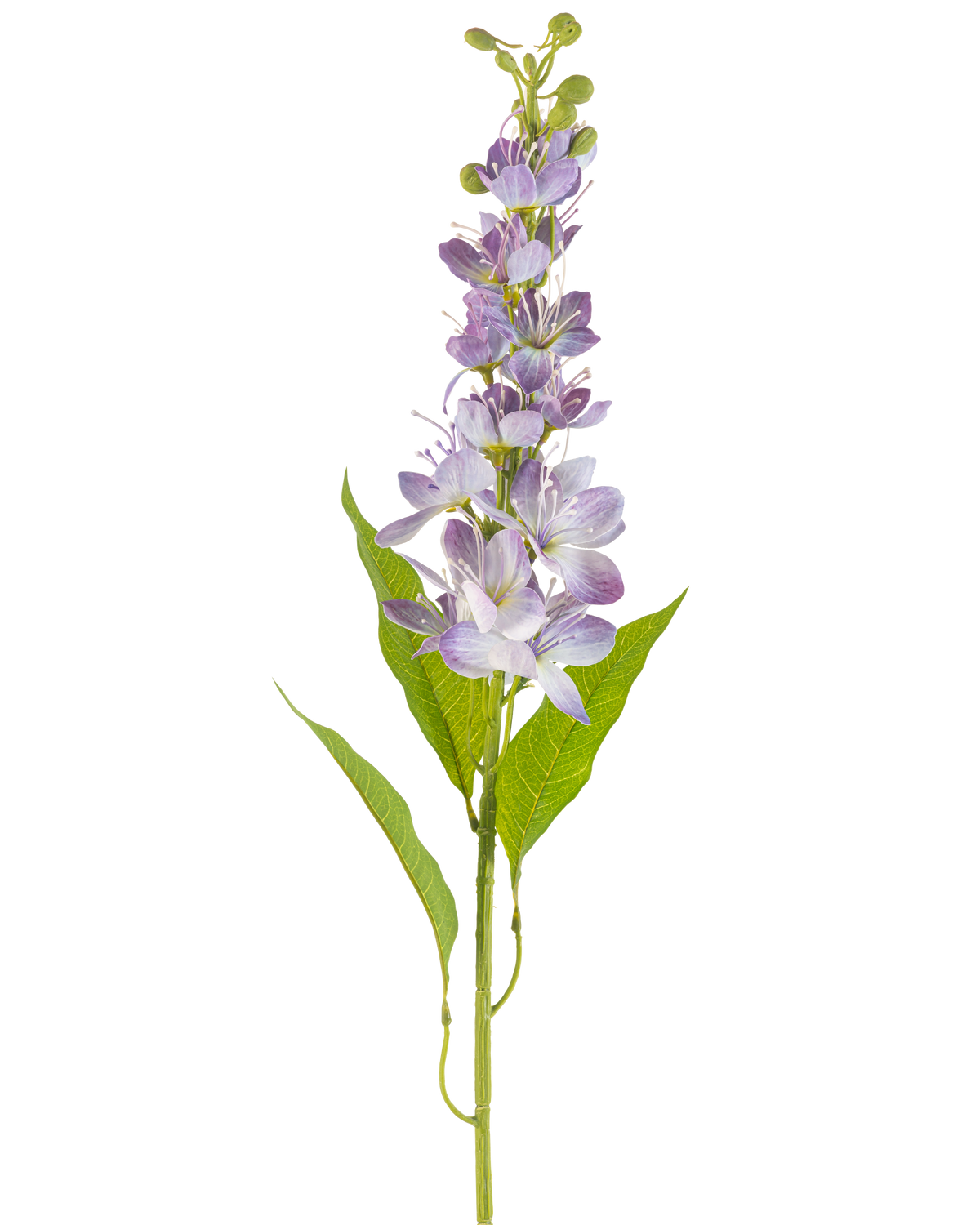De Kunstbloem Aziatische appel 84 cm lavendel heeft een enkele stengel met langwerpige groene bladeren en meerdere kleine, lichtpaarse bloemen die verticaal langs de stengel staan, geïsoleerd op een witte achtergrond.