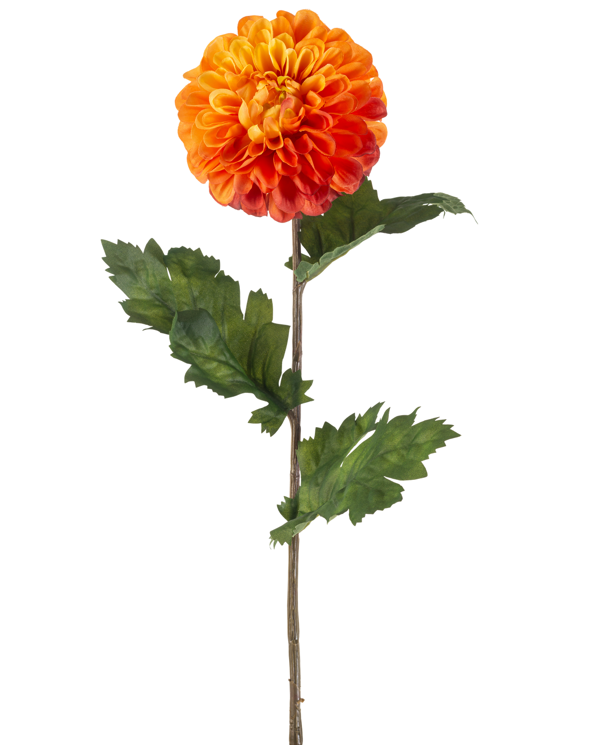 De Kunstbloem Dahlia 75 cm oranje heeft een enkele oranje dahlia met gelaagde bloemblaadjes, groene bladeren en een lange bruine steel, tegen een effen witte achtergrond.