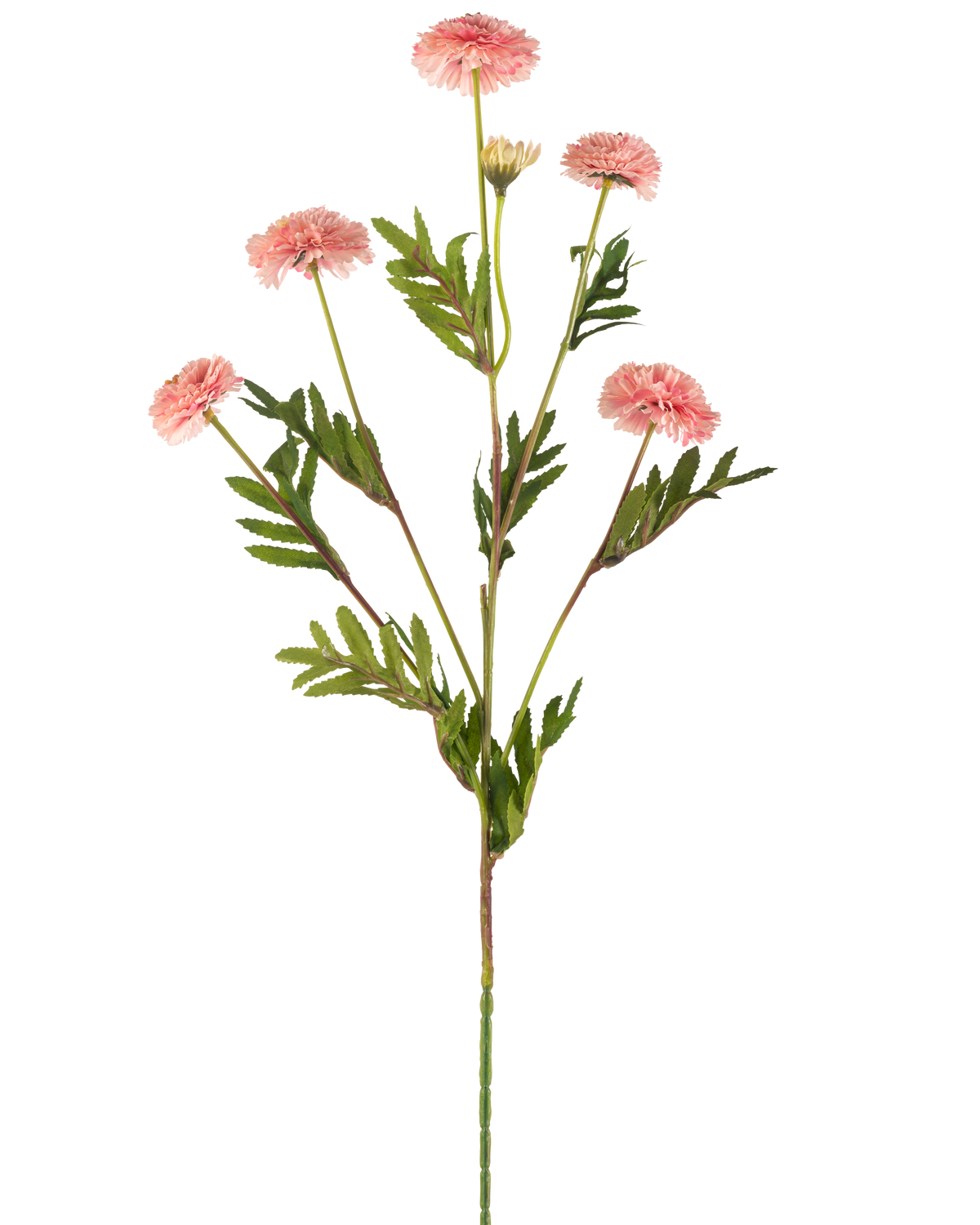 De Kunstbloem Pomponchrysant 69 cm roze heeft een enkele steel met meerdere lichtroze, ronde pomponbloemen en groene, varenachtige bladeren tegen een witte achtergrond.