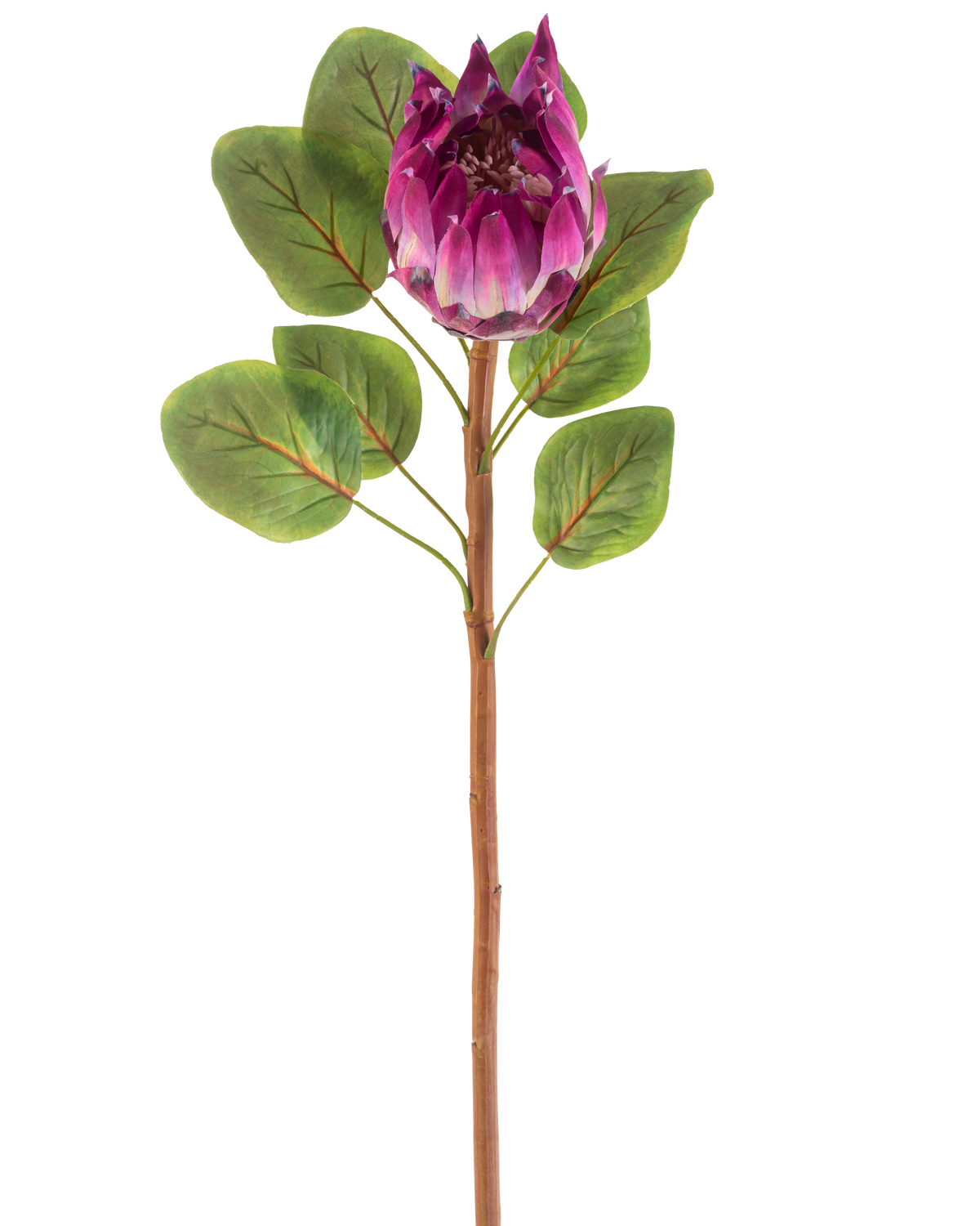De Kunstbloem Protea 65 cm paars heeft een enkele kunstmatige paarse protea bloem met groene bladeren en een lange bruine steel, tegen een witte achtergrond.