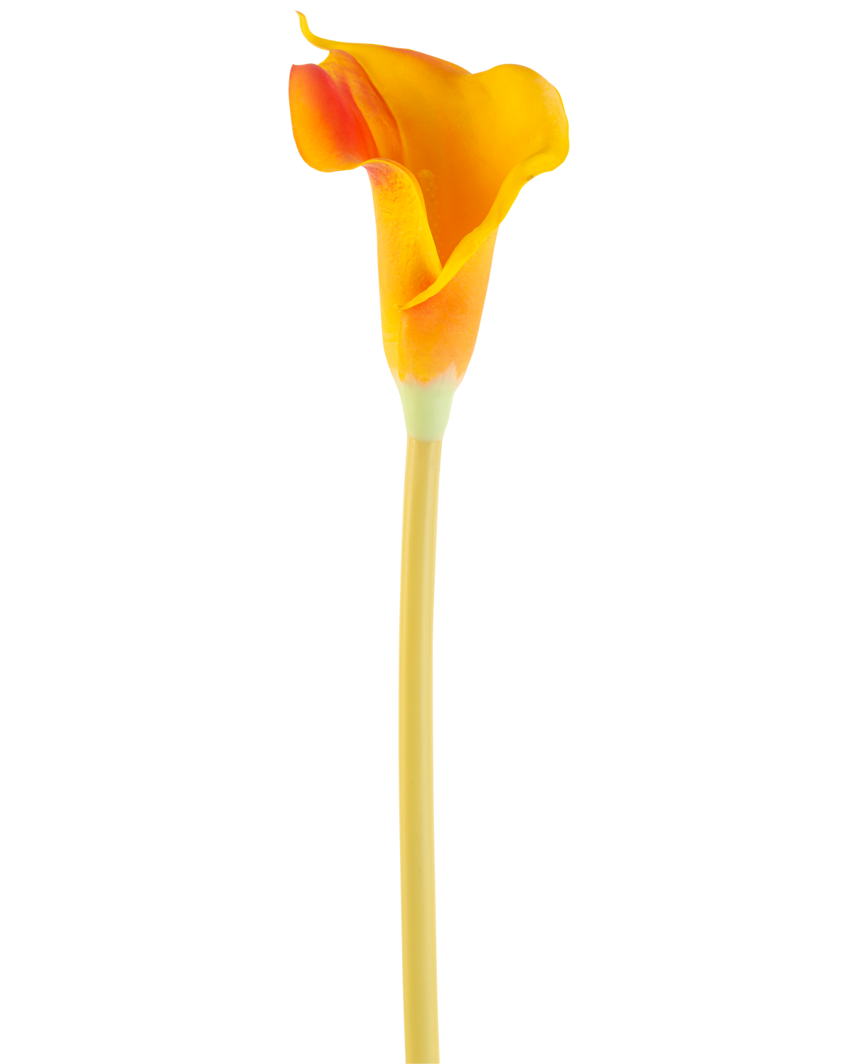 De Kunstbloem Calla 64 cm oranje heeft een enkele oranje calla lelie met een lange, slanke steel, geïsoleerd op een witte achtergrond.