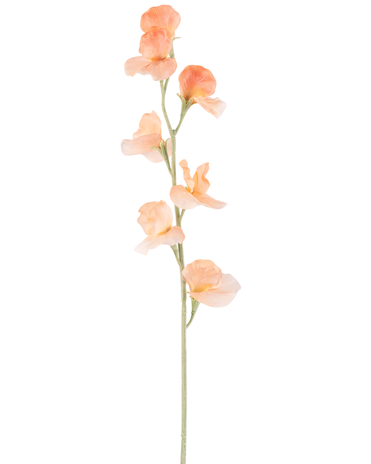 Een enkele Kunstbloem Erwt 64 cm perzik heeft een licht perzikkleurige kunsterwt met ruches in de bloemblaadjes en een groene stengel, geïsoleerd op wit.