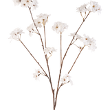 De Kunstbloem Kersenbloesem 114 cm crème heeft een bruine steel die zich vertakt in kleinere stelen, elk versierd met delicate kunstbloemen in een roomwitte tint, tegen een effen witte achtergrond.