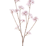 De Kunstbloem Kersenbloesem 114 cm lichtroze heeft een enkele bruine tak met meerdere dunne stengels, elk versierd met trosjes delicate, lichtroze kersenbloesems, tegen een effen witte achtergrond.