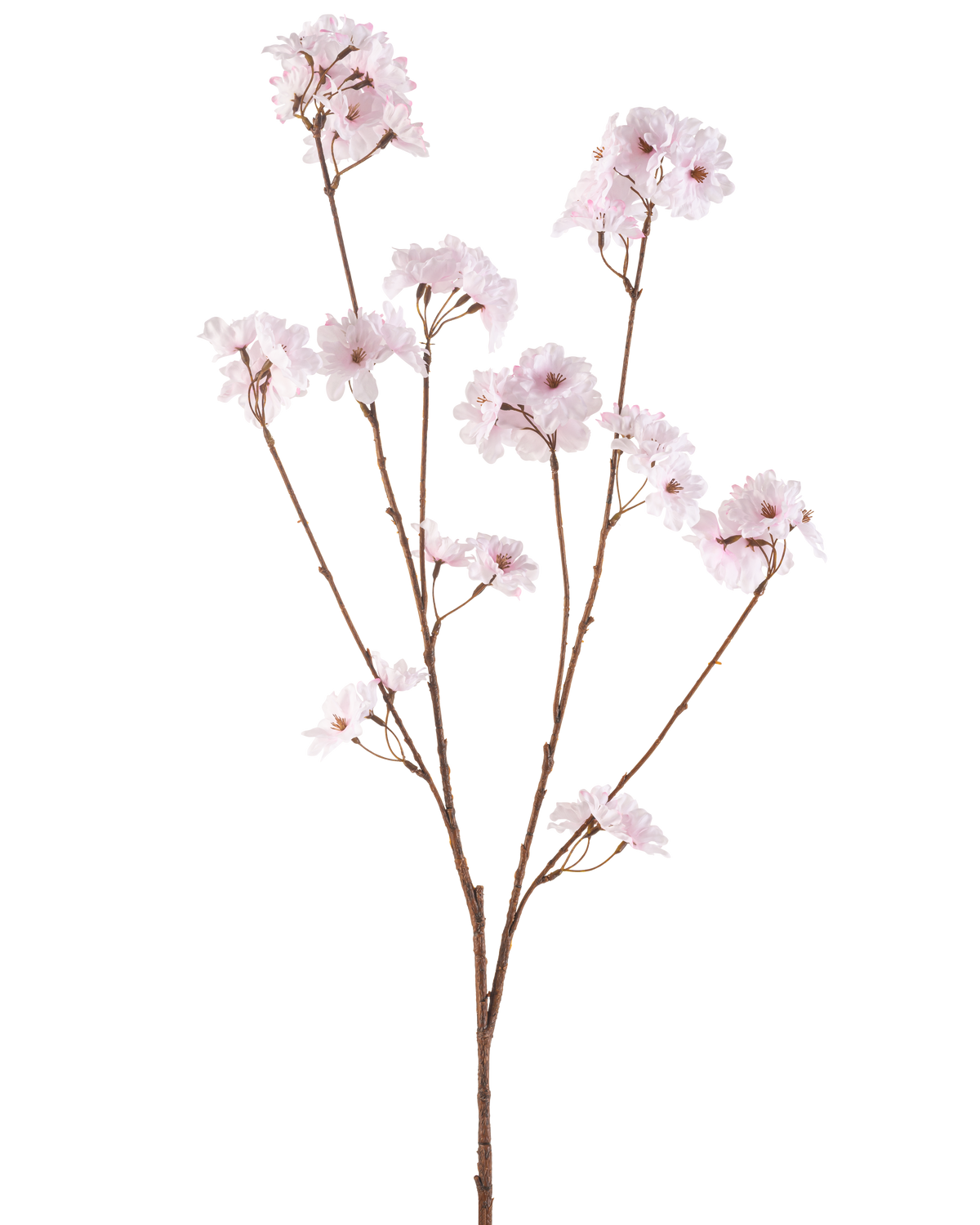 De Kunstbloem Kersenbloesem 114 cm lichtroze heeft een enkele bruine tak met meerdere dunne stengels, elk versierd met trosjes delicate, lichtroze kersenbloesems, tegen een effen witte achtergrond.